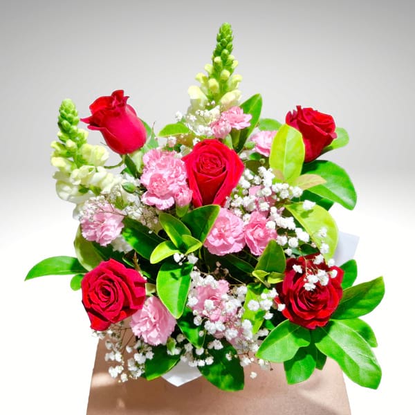 Kyoto Crimson Blush