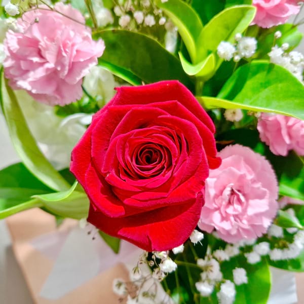 Kyoto Crimson Blush