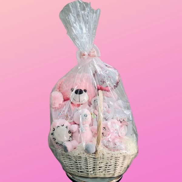 Premium Baby Girl Hamper