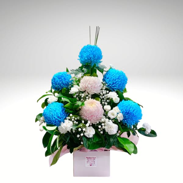 Osaka Harmony Box