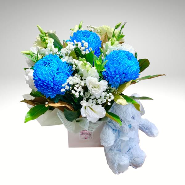 Little Prince Flower Box